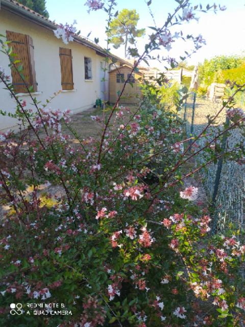 Villa Nancea Maison Arcachon Gujan-Mestras Ngoại thất bức ảnh
